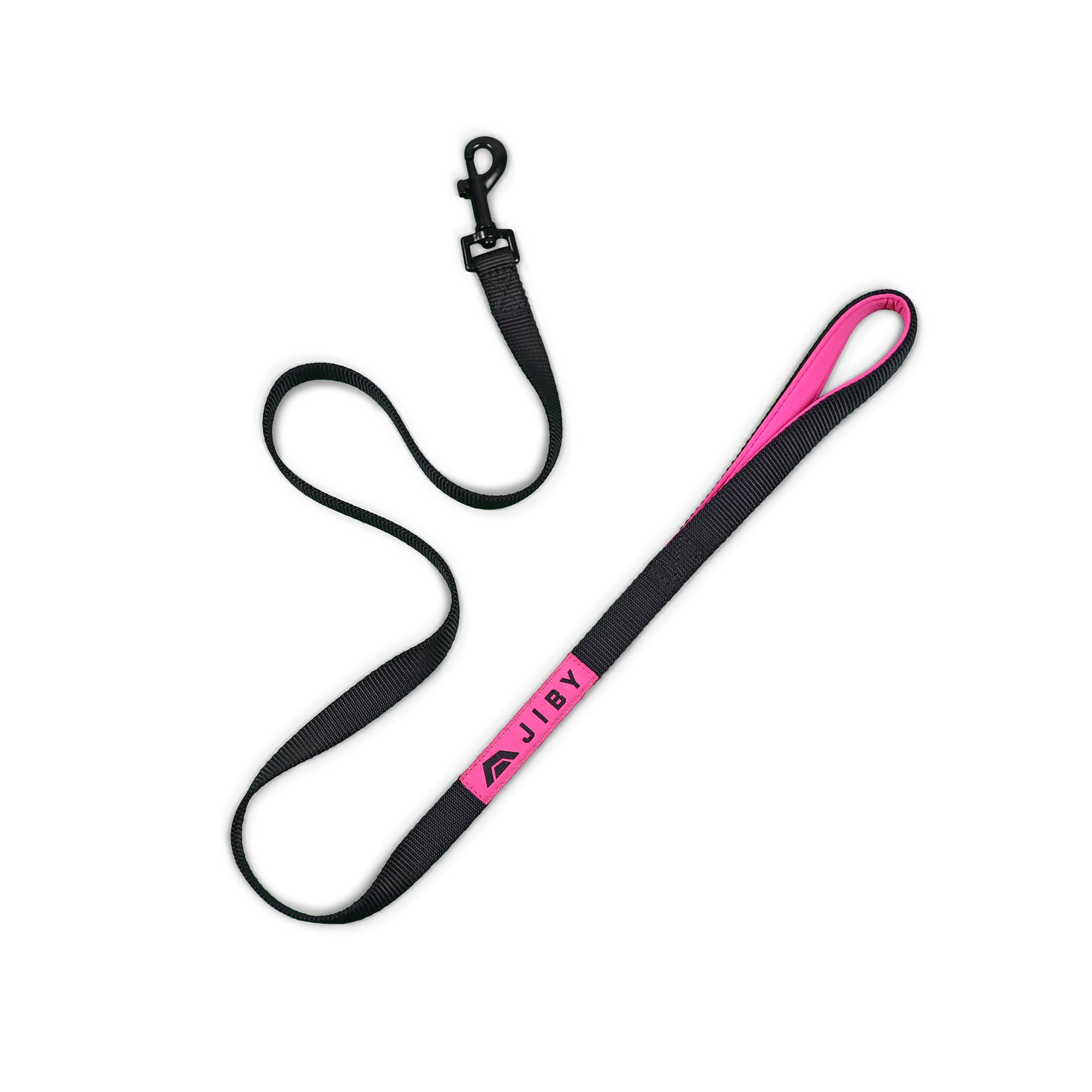 Ride Dog Leash