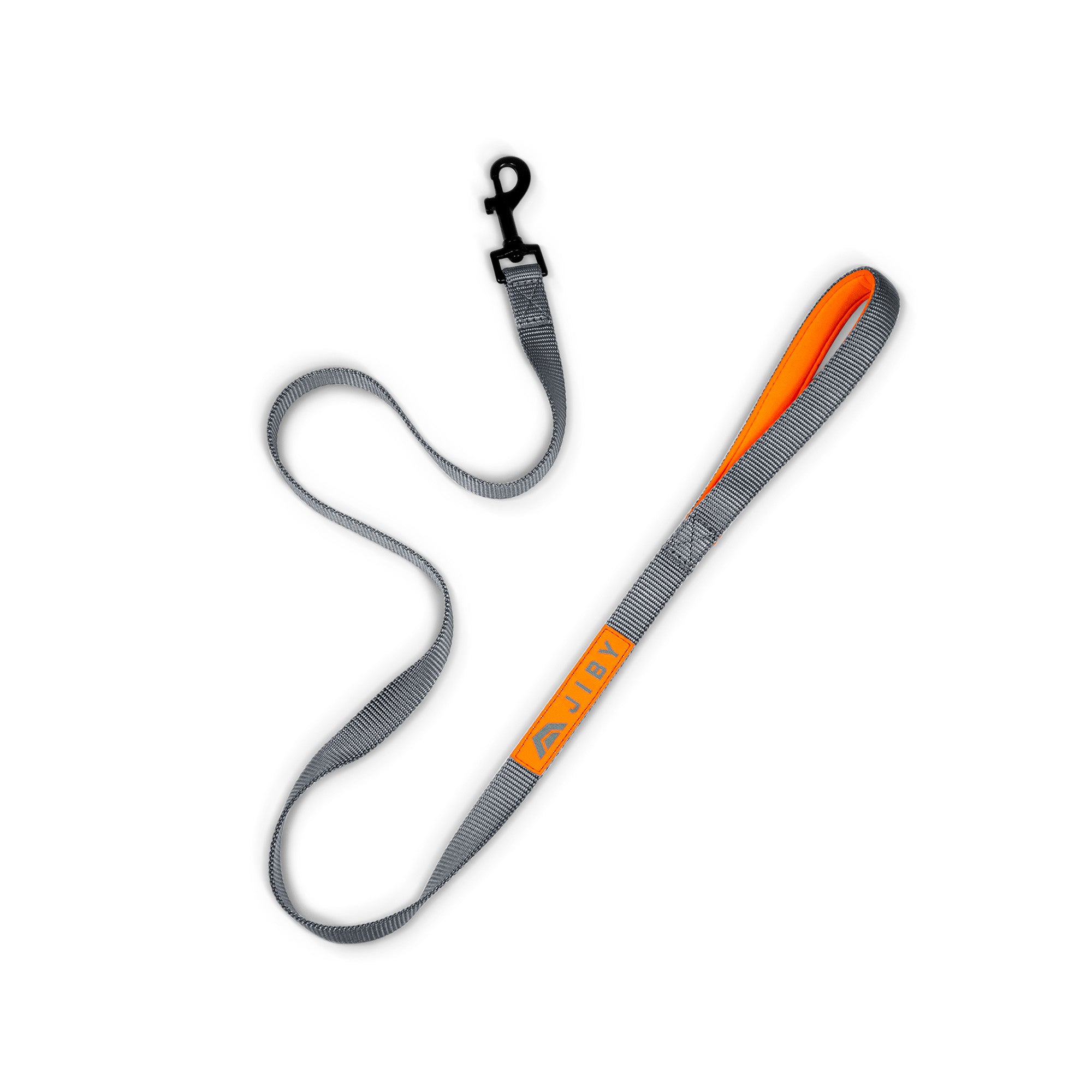 Ride Dog Leash