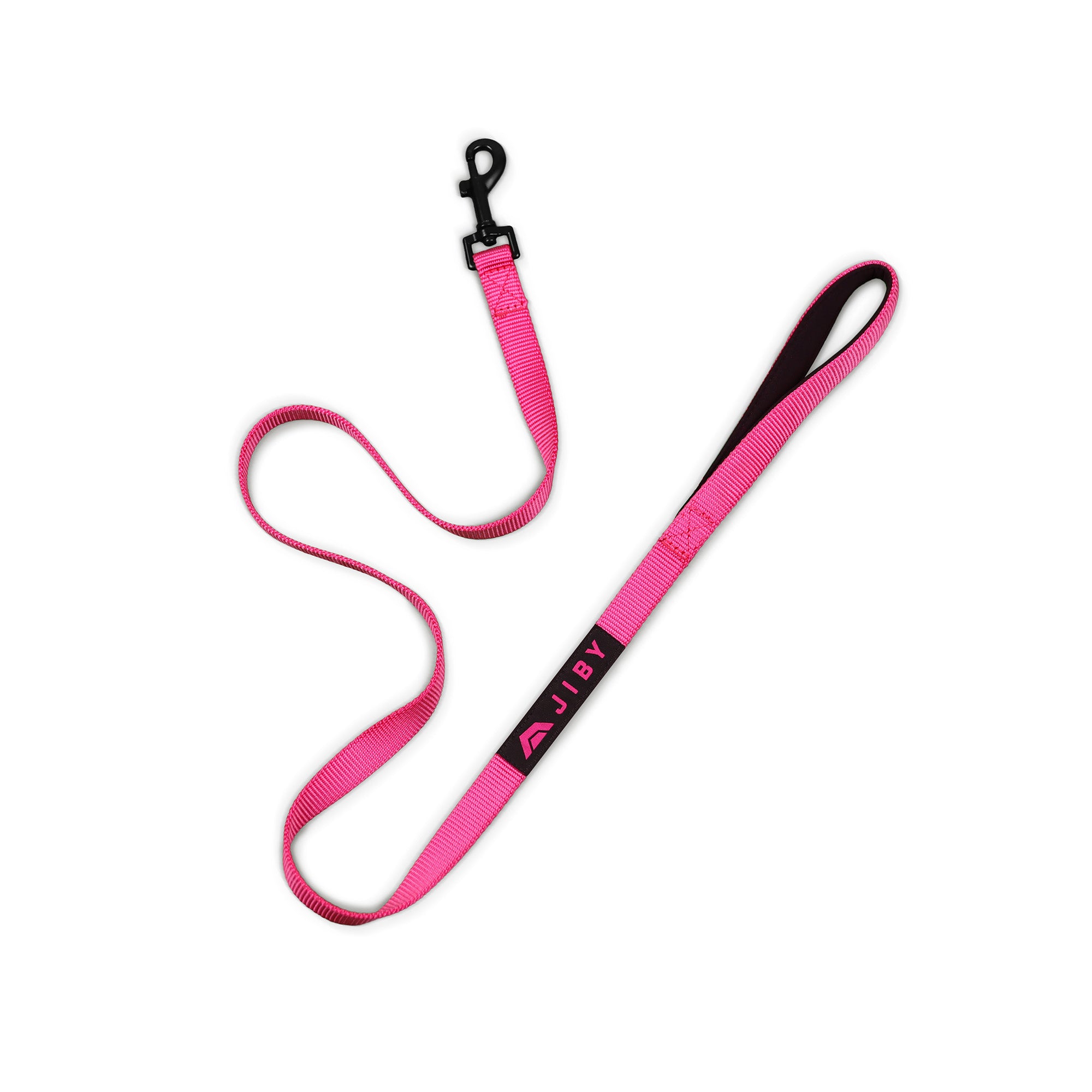 Ride Dog Leash