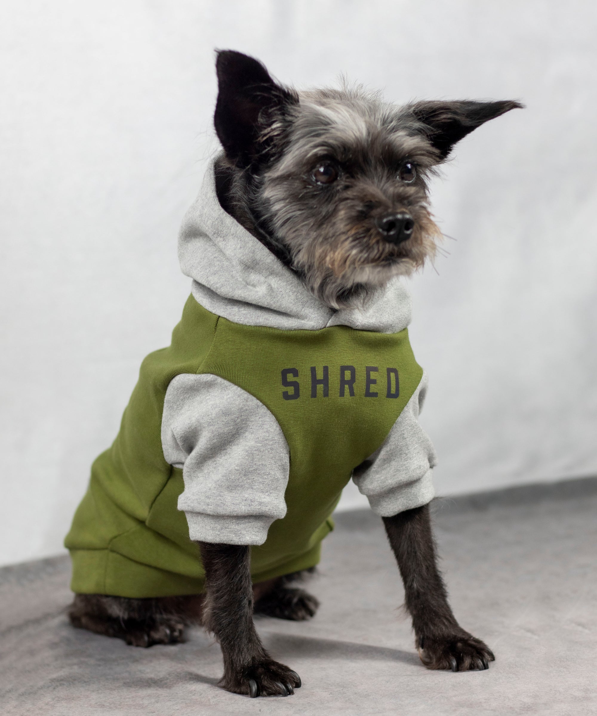 K9 Division Dog Hoodie