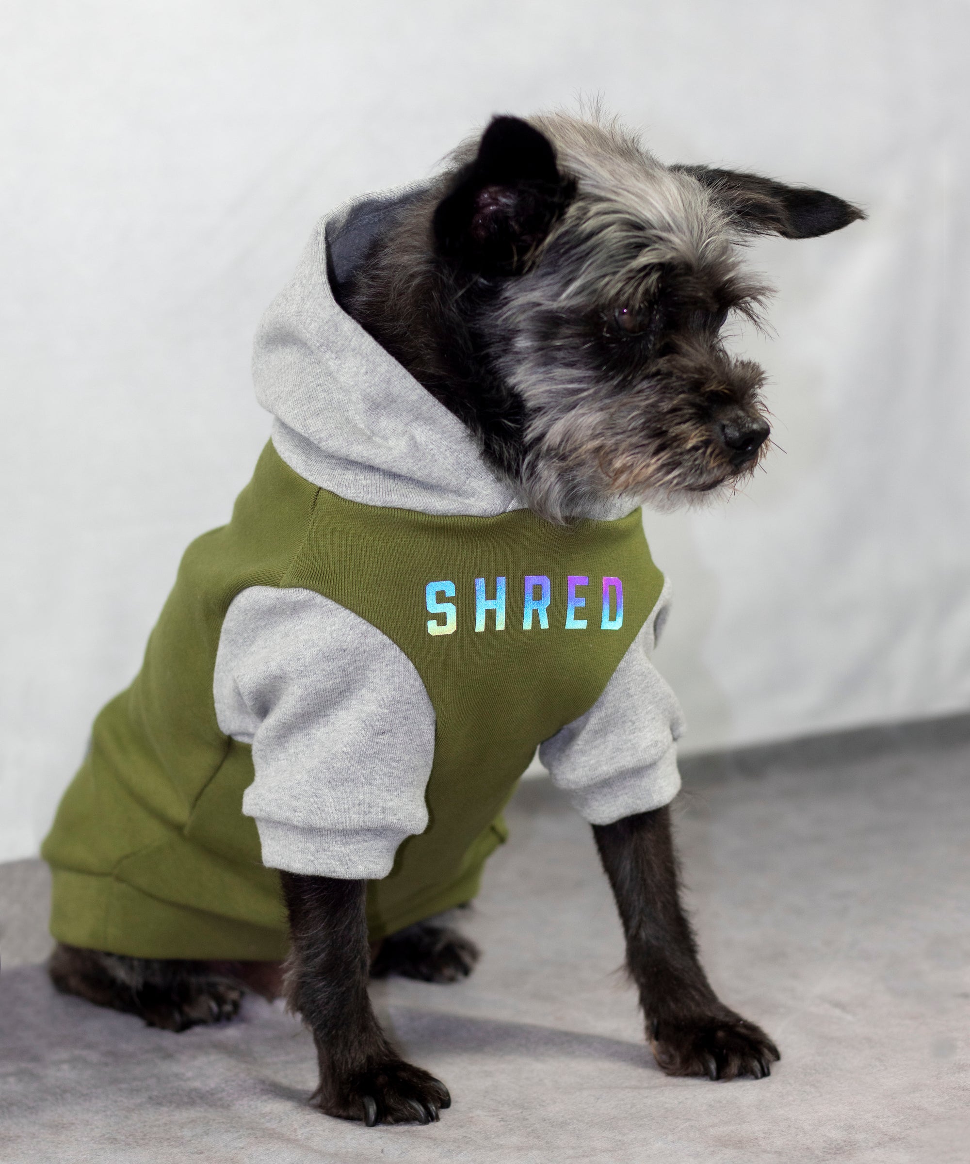 K9 Division Dog Hoodie