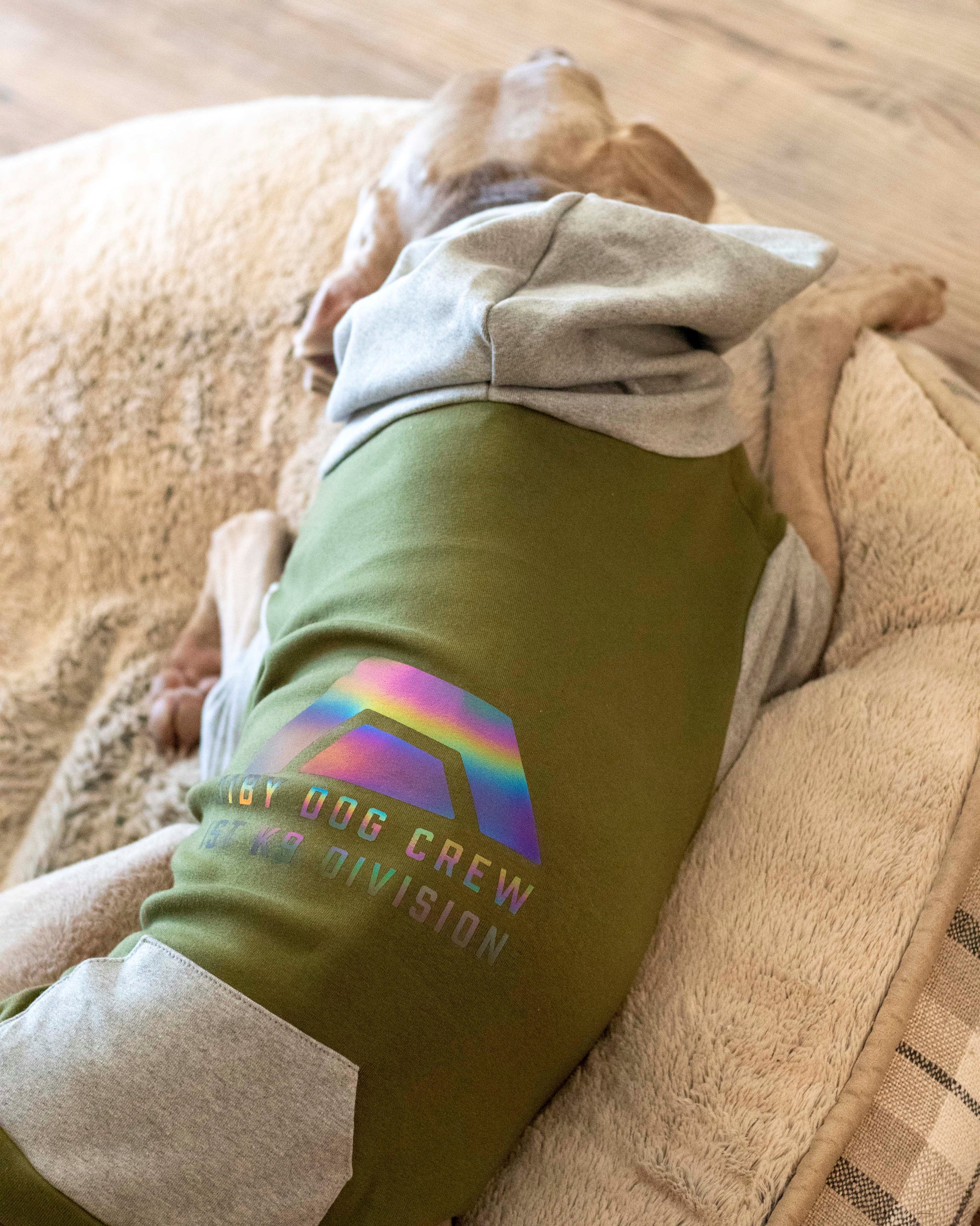 K9 Division Dog Hoodie