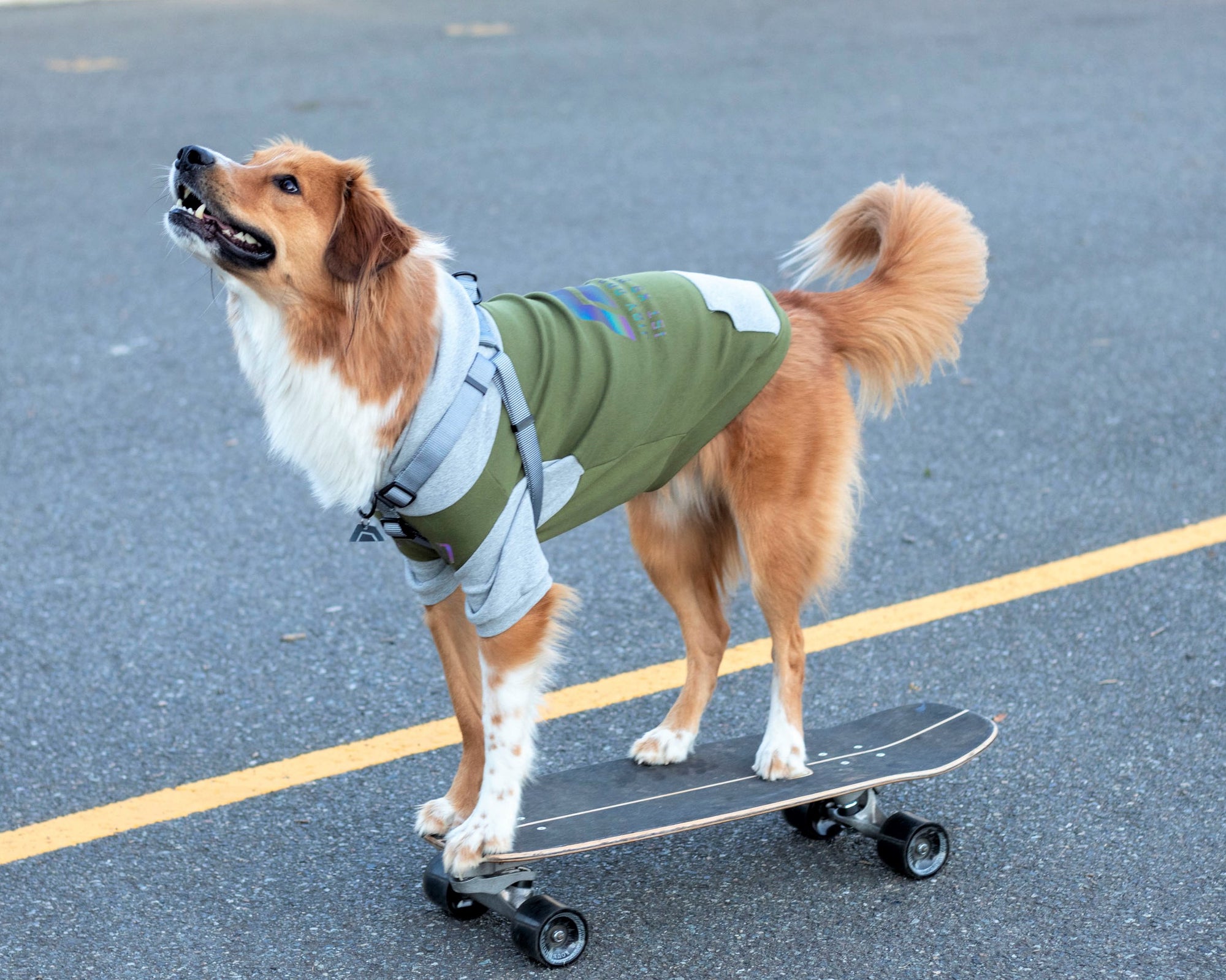 K9 Division Dog Hoodie