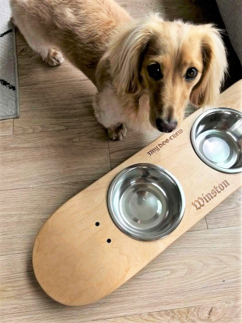 Skateboard dog bowl feeder stand handcrafted with custom designed art.