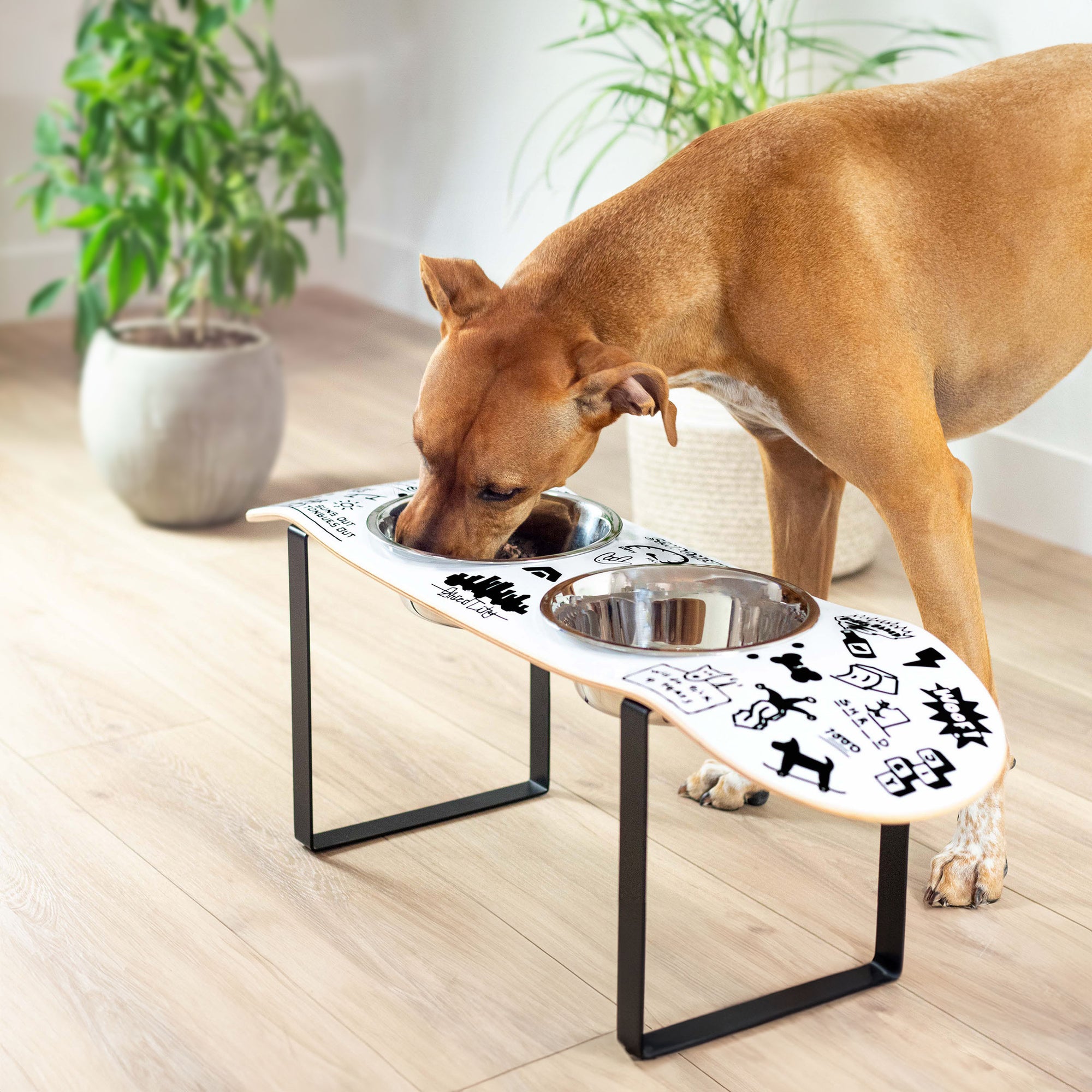 Skateboard dog bowl feeder stand handcrafted with custom designed art.