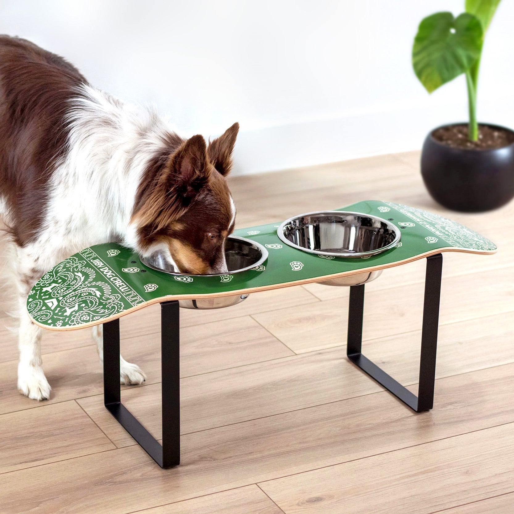 Skateboard dog bowl feeder stand handcrafted with custom designed art.