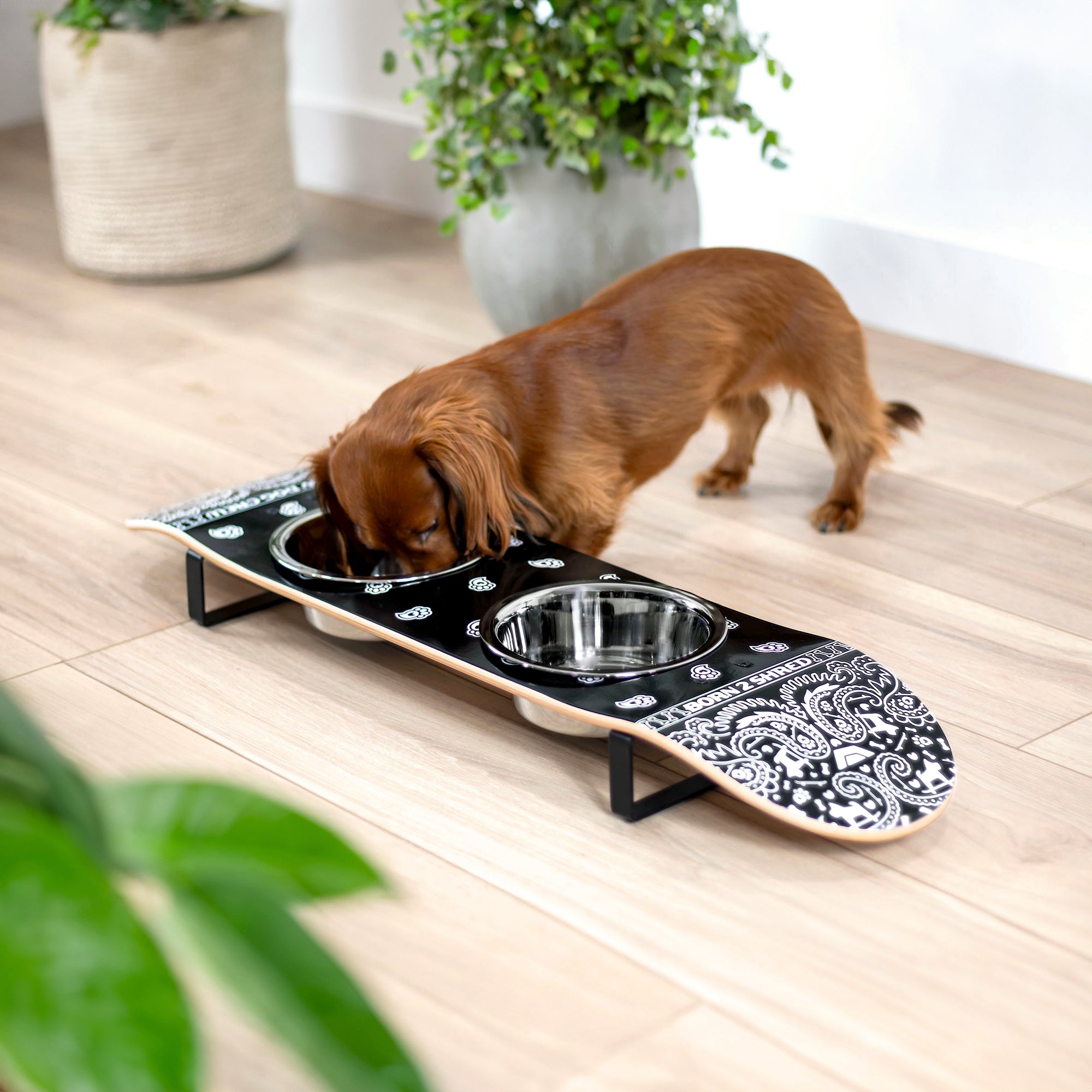 Skateboard dog bowl feeder stand handcrafted with custom designed art.