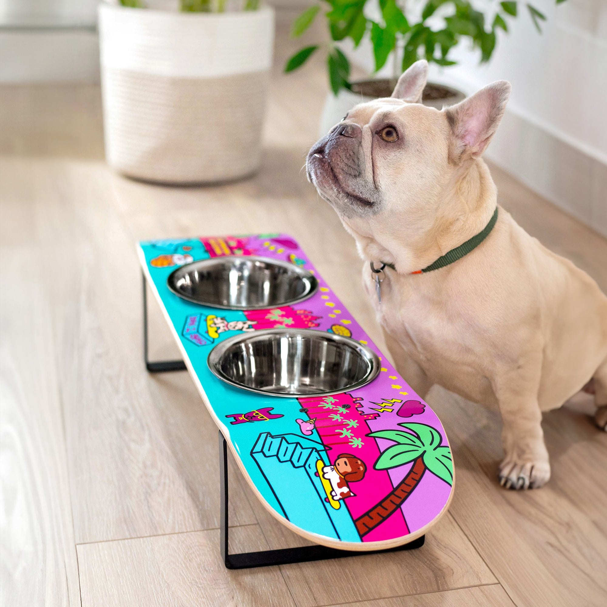 Skateboard dog bowl feeder stand handcrafted with custom designed art.