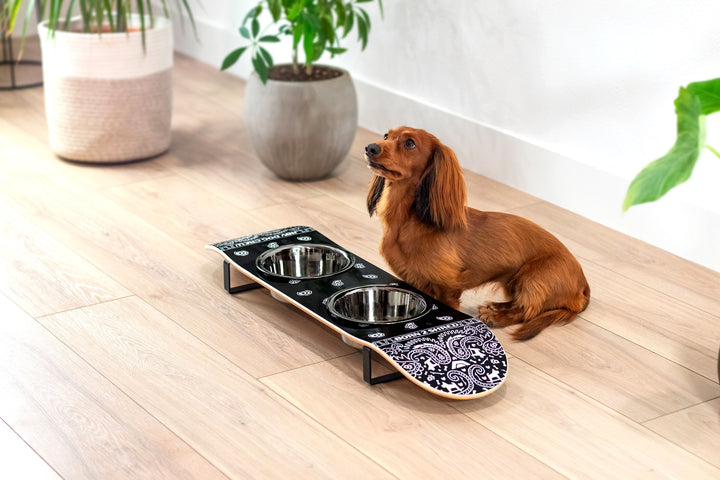 Camo Bar Skateboard Dog Bowl | Jiby Dog Crew