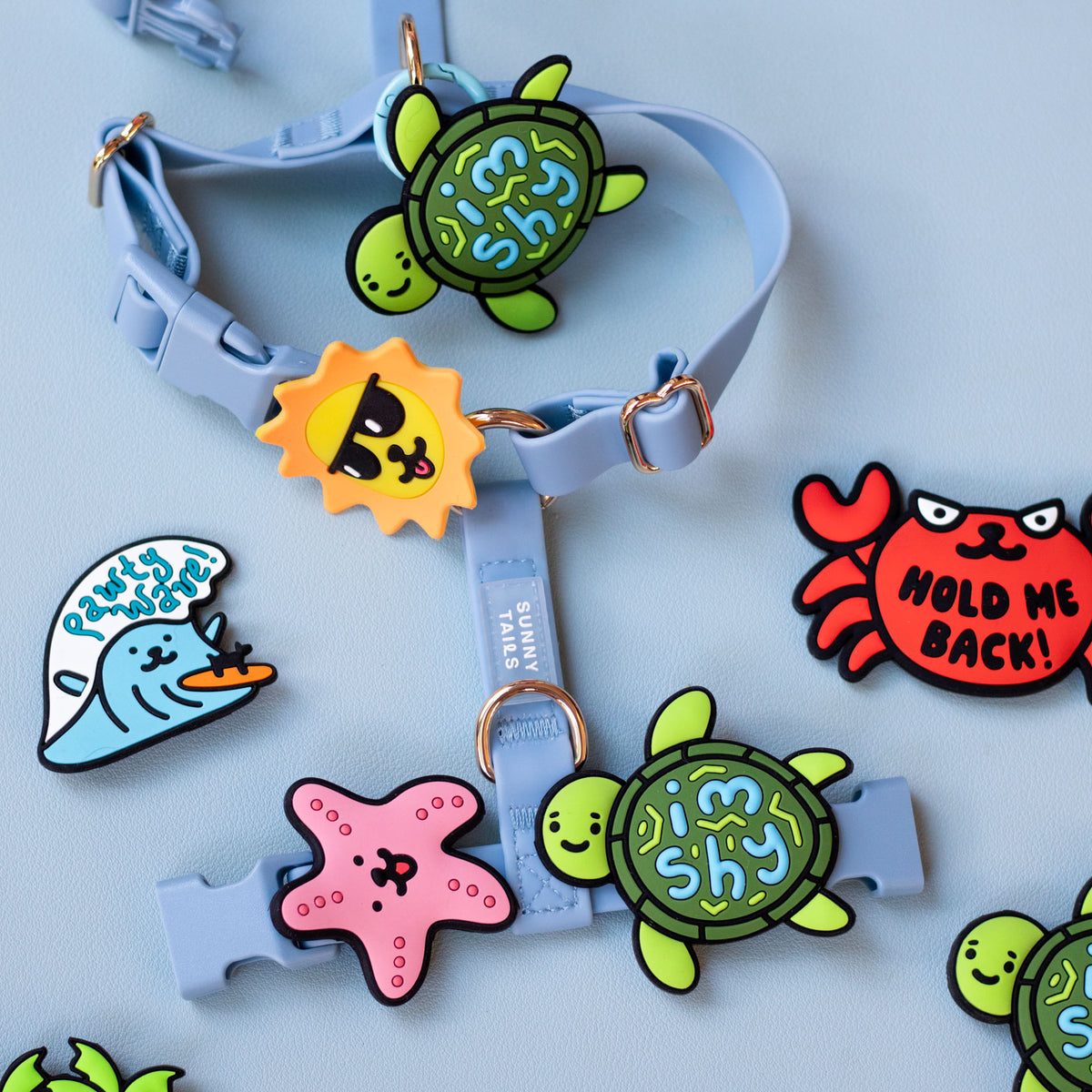 Shy Turtle Jiby Dog Charm