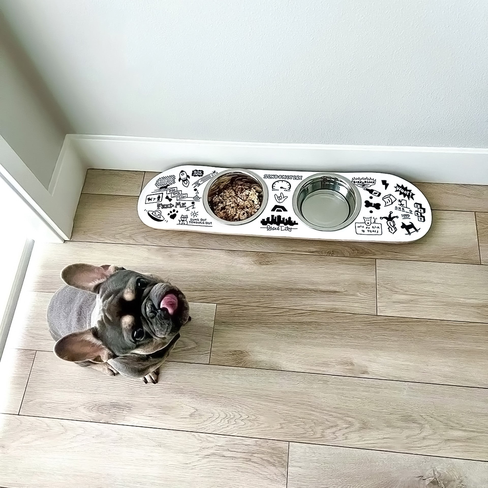 Skateboard dog bowl feeder stand handcrafted with custom designed art.