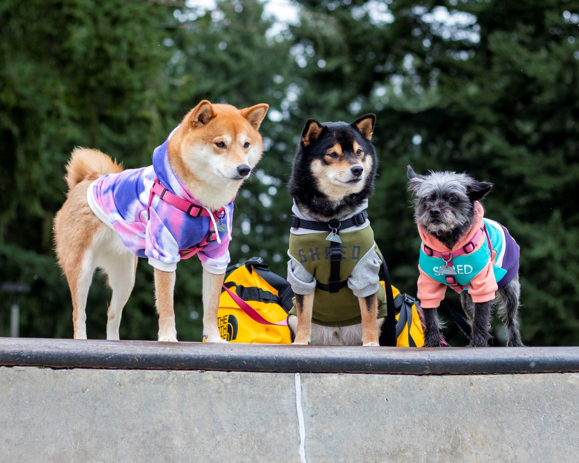 Cy-Fur Dog Hoodie