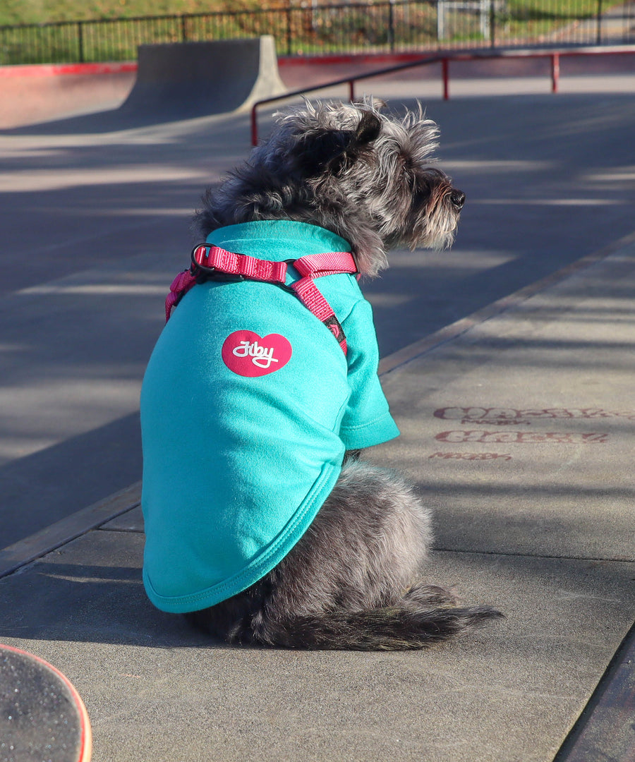 Dog wearing JIBY step-in harness in magenta with JIBY Kink Logo custom engraved dog tag and JIBY Heart T-shirt in turquoise at a skatepark (back view)