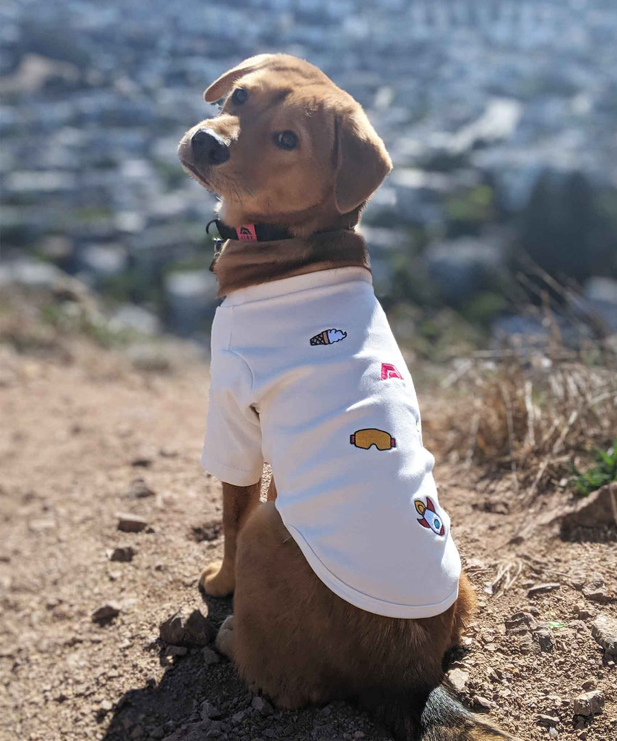 Dog wearing JIBY Saucy Patches crewneck in white