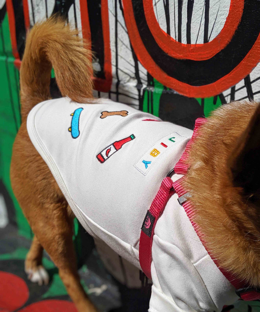 Dog wearing JIBY step-in harness in magenta and JIBY Saucy Patches crewneck in white at Clarion Alley