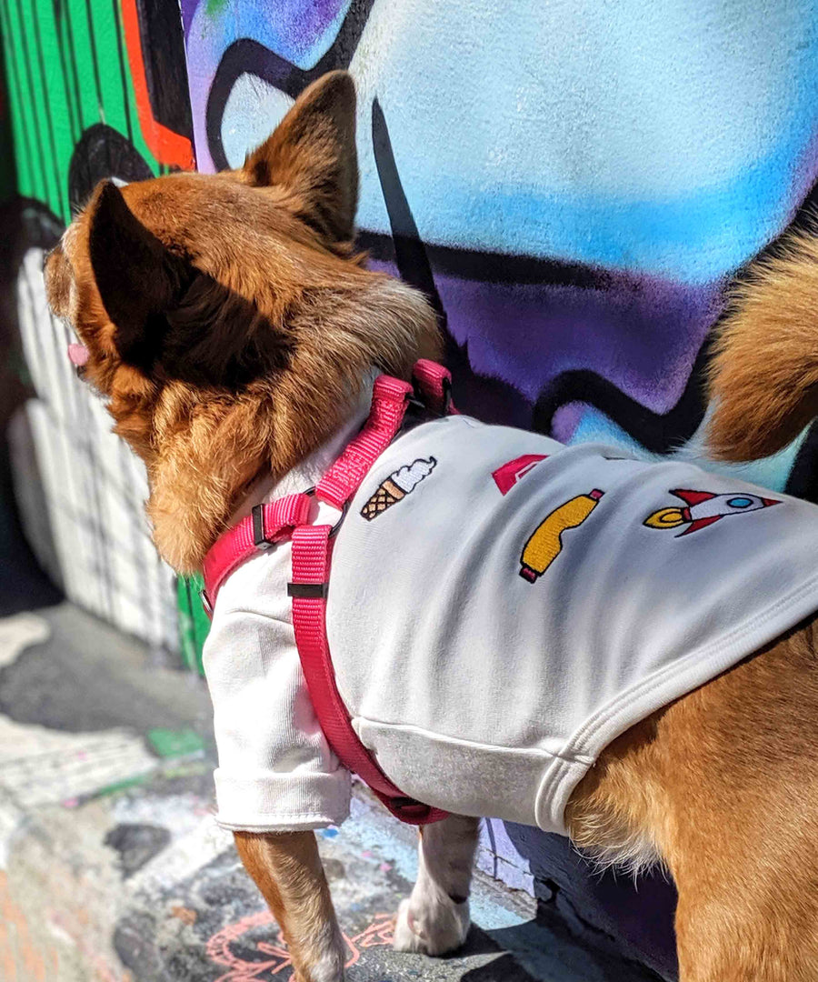 Dog wearing JIBY step-in harness in magenta and JIBY Saucy Patches crewneck in white at Clarion Alley