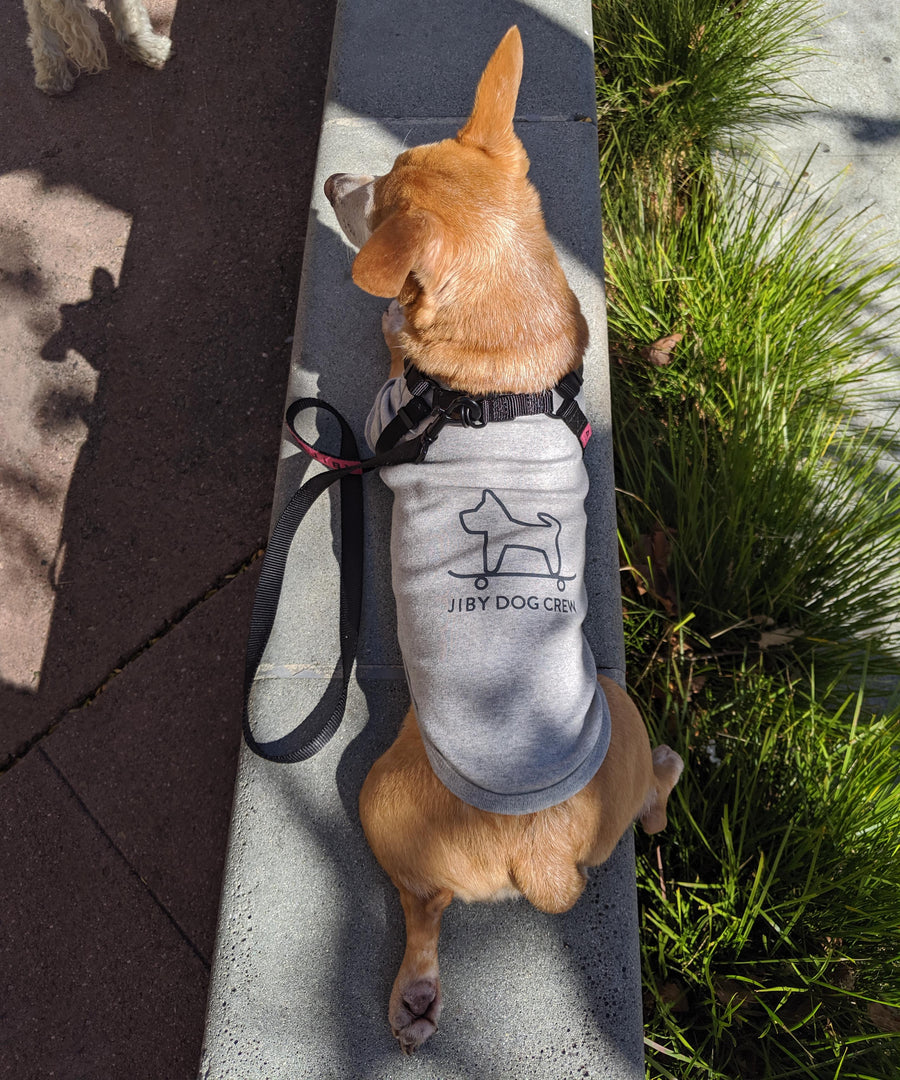 Dog wearing JIBY step-in harness + leash in black and JIBY Skate Dog crewneck in grey