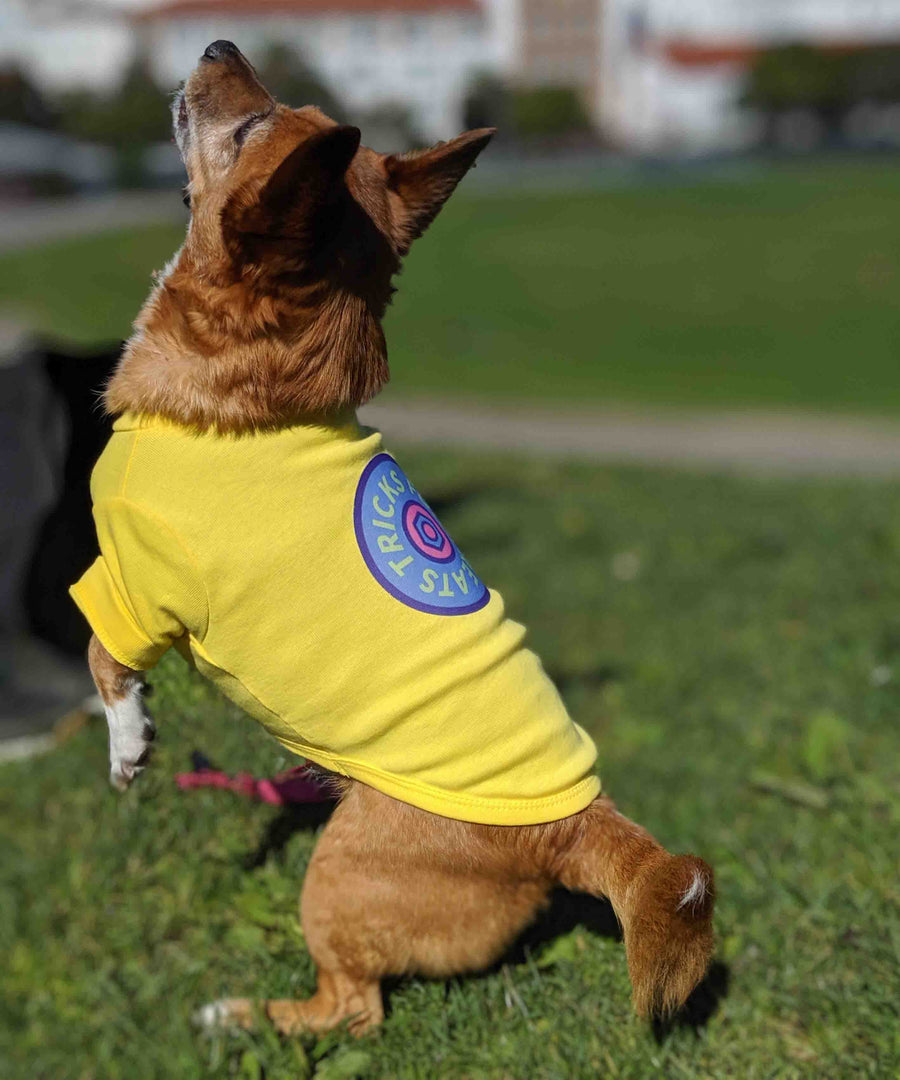Dog wearing JIBY Skate Wheel T-shirt in yellow at Mission Dolores Park