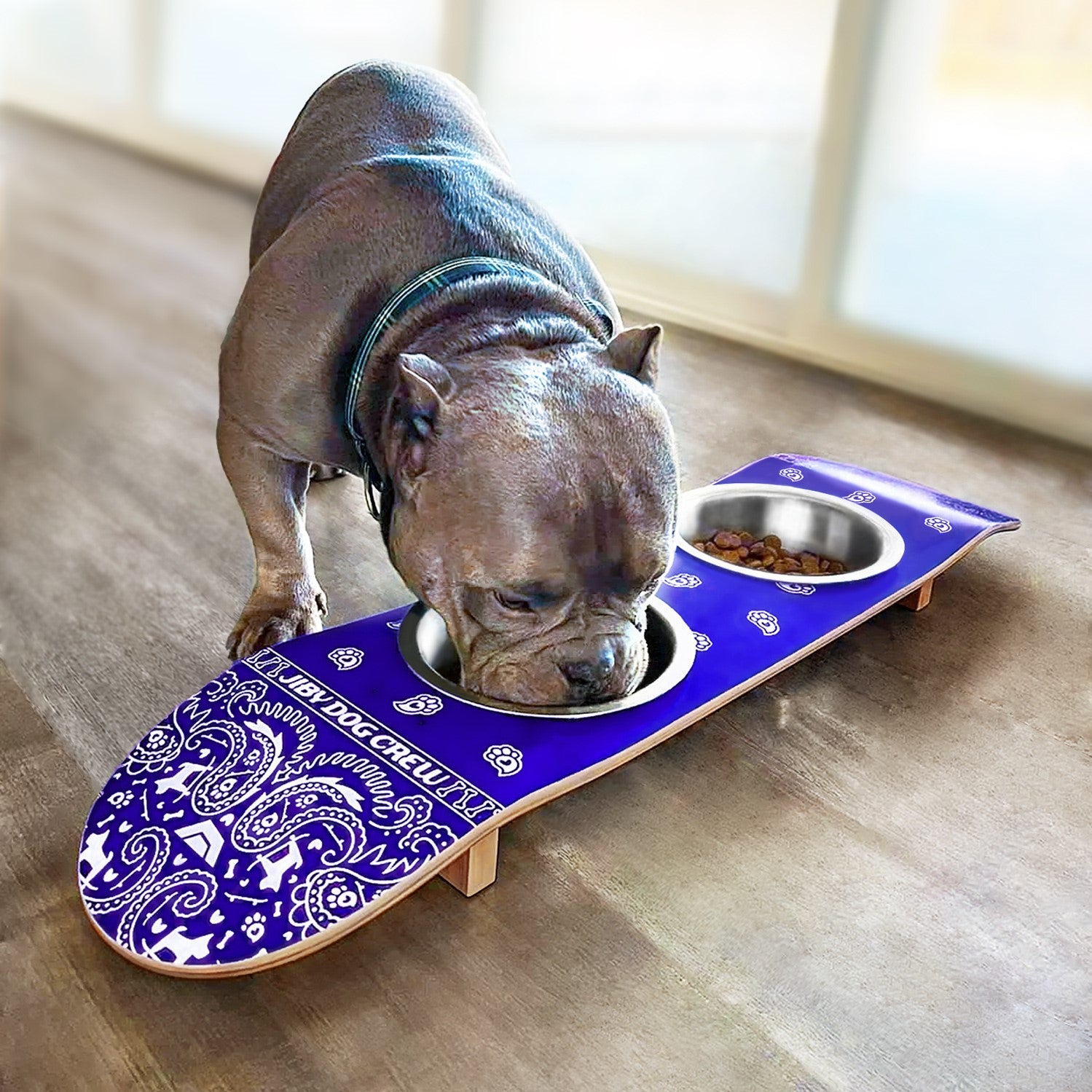 Skateboard dog bowl feeder stand handcrafted with custom designed art.